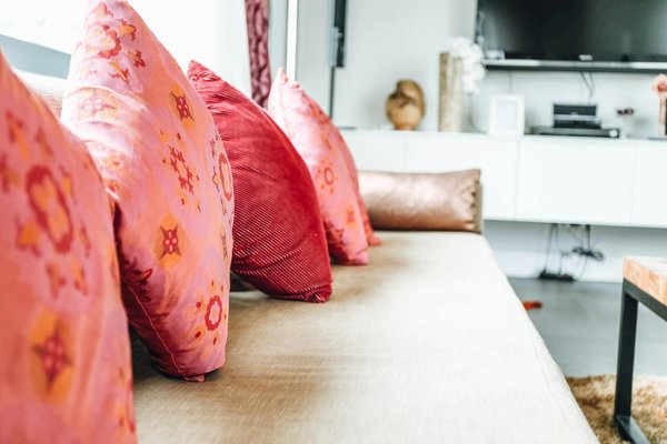 How can you ensure that your pet receives adequate socialization?