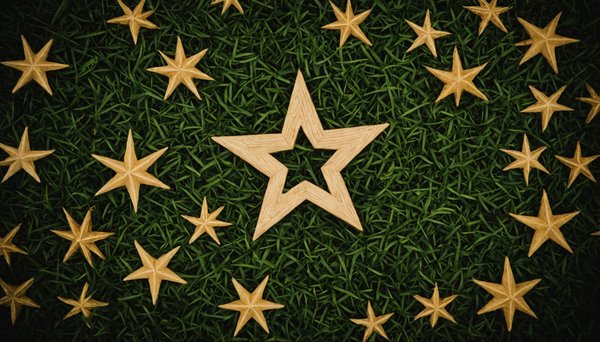 Harvesting knowledge: essential tips from stewartville star